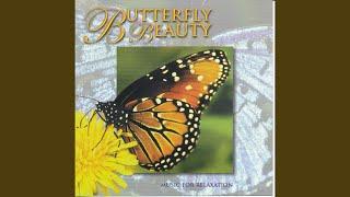 Butterfly Beauty (Part 1)