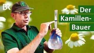 Landwirt erntet Kräuter für Pharmaindustrie: Kamille vom Acker | Heilkräuter | Unser Land | BR