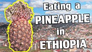 Tasting a Strange Looking PINEAPPLE in Ethiopia - Weird Fruit Explorer