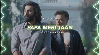 Papa Meri Jaan (Slowed+Reverb) - Sonu Nigam | Kota Lofi