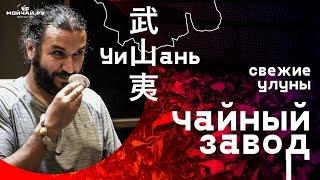 Уишань. Чайный завод. Свежие улуны