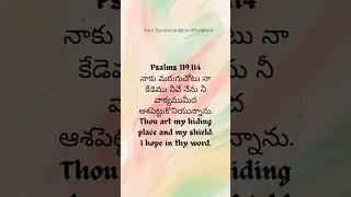 #psalms 119 #verseoftheday #wordofgod #hidingplaces #shield #god #love #trending #shortvideo #prayer