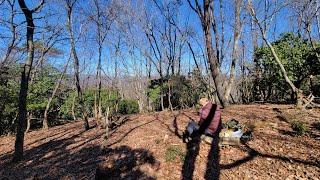 千代田 堂床山 里キン2