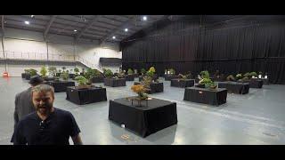 Explore the ART of Bonsai at Telford Live Exhibition