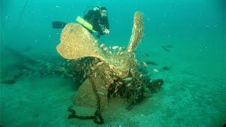 Wandra and Tuncurry Shipwrecks NSW Australia.