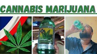 Cannabis Marijuana Drinks Selling In 7 Eleven Thailand | Bangkok | Fruits | Travel with Nusky