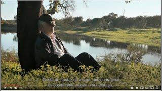 AICEP - MADE IN PORTUGAL naturally