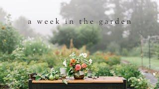 What does a week in our garden look like?