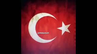 onlarda bizde KÖPEK SAHİBİ USA VS TÜRKİYE #shorts #aykutelmas #vine #vinetürkiye #enkomikvineler