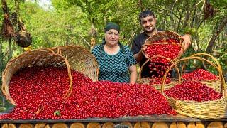 Azerbaijani DUSBERE Dumplings Recipe | Grandma's Traditional Cooking in the Village