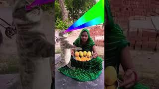 Billi  boli  Meow Meow  viral  cute #funny video