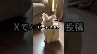 Xでバズった投稿：part4