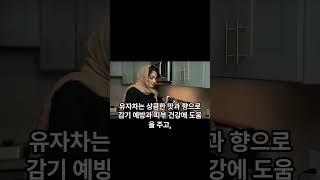 환절기 감기 예방에 좋은 차 4가지 효능 및 만드는 방법, 저랑 아이들은 '이것'만 마시고 병원 절대 안가요~ 몸에 좋은 차 소개 #shorts