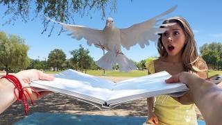 POV MAGIC BEHIND THE SCENES