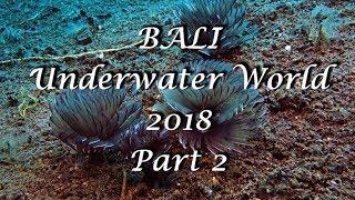 BALI 2018 part 2 - Underwater world - DIVING TULAMBEN SONY RX100