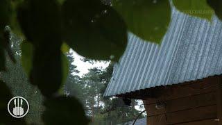 Soft Rain on the Tin Roof with Distant Rumbles of Thunder  Relaxaing Sounds for Sleep, Study, Write