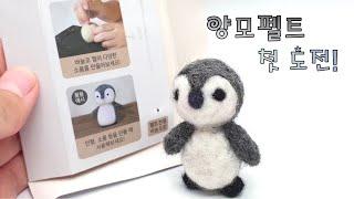양모펠트 첫 도전! (feat. 다이소 펭귄 양모펠트)
