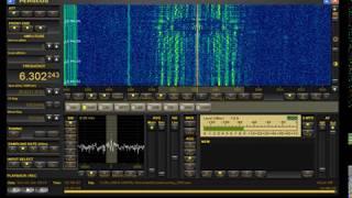 Pirate QSO 6302 kHz AM 12-01-2014 1237z