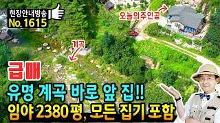 (급매) 유명 계곡 바로 앞 집!! 임야 2380평 포함 전원주택 매매 급매물 천혜의 위치에 튼튼한 바위에 건축 모든 집기 전자제품 포함 함양부동산 - 발품부동산TV