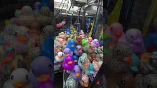 This Claw Machine Was Filled With BEANIE DUCKS!