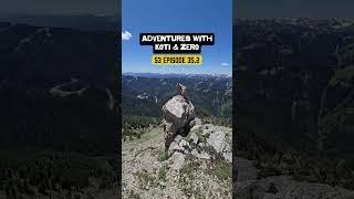 Adventures with Koti & Zero S3 Episode 35.2 #dailyvlog #naturelover #hikingadventures