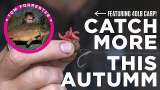 Autumn Carp Fishing Tips with Tom Forrester