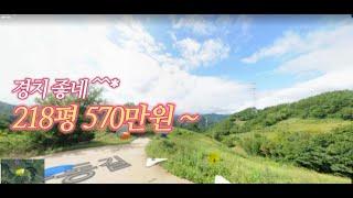 경치 좋은 정선 공매 토지 218평 570만원  맹지 [온비드공매