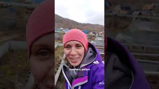 Месяц май на Камчатке)) начало 05.05.25г #камчатка #цветы #природа #семья #крапива #оберег #дом