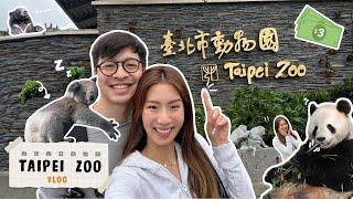 TAIPEI ZOO was the BEST $3 we ever spent!! | Taiwan vlog