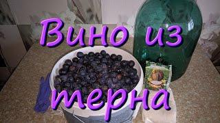 Вино Из Терна Дикая Слива Простой Рецепт Вина В Домашних Условиях Домашнее Вино