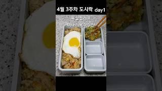 고물가시대 식비절약의 시작 #직장인도시락 #도시락반찬 #남편도시락 #shorts