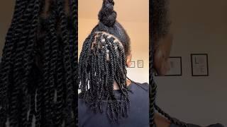 Mini Twists #naturalhair