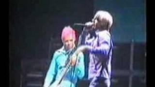 Red Hot Chili Peppers live Hamburg 99 Sporthalle 1