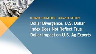 US Dollar Index Does Not Reflect True Impact on US Ag Exports | CoBank Knowledge Exchange Brief
