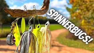 Don’t Underestimate This Spinnerbait Tip! It Could Come Back To Haunt You!