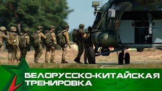 Антитеррористическая тренировка военнослужащих Беларуси и Китая. Эксклюзивный репортаж «Воен ТВ»
