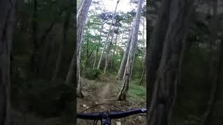 little jump @ Anninger Trail