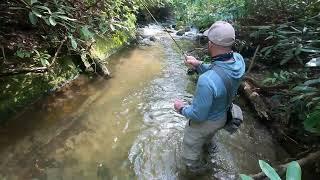 Blue Line Fishing for Southern Appalachian Brook Trout