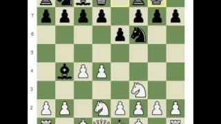 Chess.com: Why it is Better to Watch Videos than Read