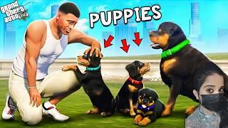 Franklin Found Chop Secret Puppies In GTA 5 | Shinchan and Chop GTA 5