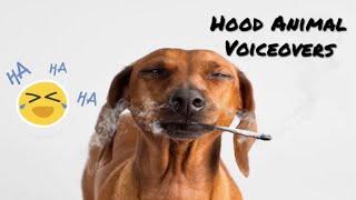 Holadocious- Hood Animal Voiceovers #185