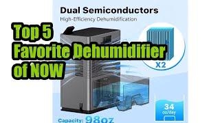 Top 5 Favorite Dehumidifier of NOW