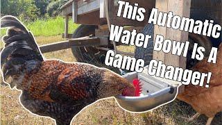 The BEST Automatic Chicken Waterer!