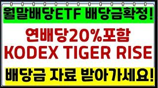 월배당ETF  월말배당 전종목 배당금확정!  연배당20% 포함 배당금자료받아가세요 ( KODEX TIGER RISE 커버드콜ETF 등)