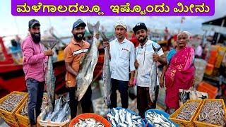 ಮಳೆಗಾಲದಲ್ಲೂ ಇಷ್ಟು ಬಗೆ ಮೀನು? | Experiencing Mangalore's Dhakke Fish Market During Monsoon