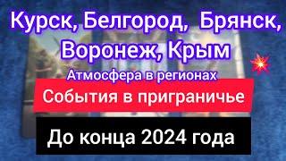 КУРСК, БРЯНСК, БЕЛГОРОД, ВОРОНЕЖ, КРЫМ. События в приграничье до конца 2024 года. Таро прогноз.