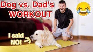 Dog vs. Dad's Workout | Funny Dog Bailey