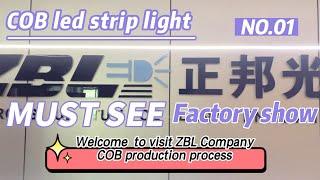 LED COB strip light manufacturing - China factory