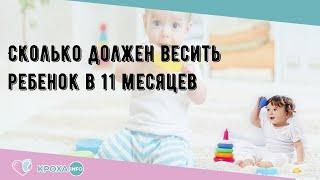 Сколько должен весить ребенок в 11 месяцев