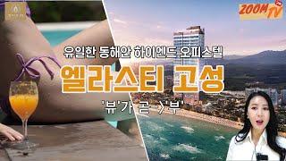 엘라스티 고성